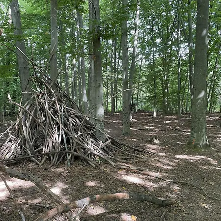 Erlachoase * Leinfelden-Echterdingen